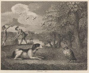 A Setting-kutya és a Partridge alkotó: William Blake