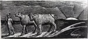 Hazafelé vánszorgó, nyakigláb üszők, illusztráció Dr. Thornton "The Pastorals of Virgil" című művéből. alkotó: William Blake
