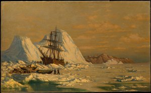 Egy eset a bálnavadászatból alkotó: William Bradford