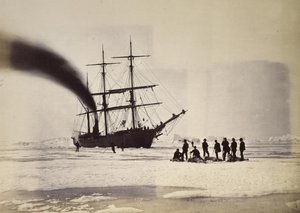 Vadászat Steam segítségével a Melville -öbölben