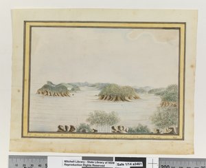 Opp. p. 93. „SW. Broken Bay New South Wales karja egy szigetről a bejáratnál. 1789. szept., 1802 körül (akvarell) alkotó: William Bradley