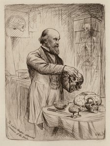 William Turner, az anatómia professzora (metszet) alkotó: William Brassey (after) Hole