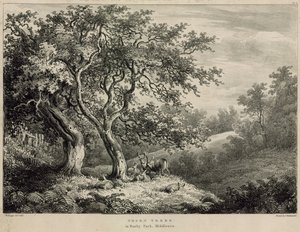Tövisfák a Bushy Parkban, Middlesexben alkotó: William Burges