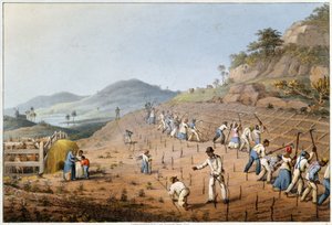 A föld feldarabolása, a "Tíz kilátás Antigua szigetén" című fejezetből.