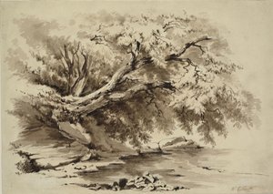 Táj a tó fölé nyúló fákkal alkotó: William Collingwood Smith