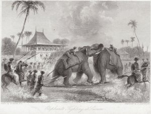 Elefántok harcolnak Lucknowban alkotó: William Daniell