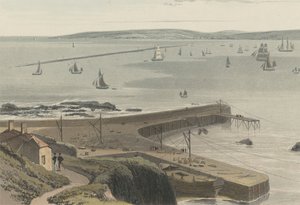 Rakpart Straddon Pointnál, Plymouth közelében alkotó: William Daniell