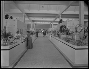 A 95. utcai piac belső képe délre nézve, New York City, 1915. október 22.