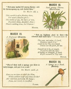 Oldal a Biblia emblémás évfordulós könyvéből (színes litográfia) alkotó: William Foster