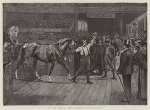 A Horse Show-n, megrakva kitüntetésekkel