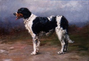Gundog egy tájban