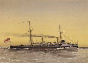 HMS Speedwell, torpedóágyús csónak