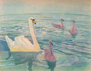 Hattyú és Cygnets, 1911, 1928