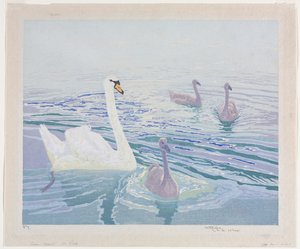 Hattyúk és Cygnets