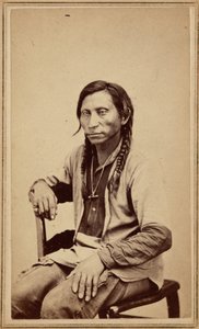 Szürke farkas,1860-as évek (fotó) alkotó: William Gunnison Chamberlain