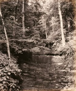 Owasco Lake, Cascade Glen, a Lehigh Valley Railroad számára