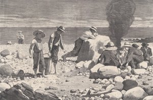 Tengerparti vázlatok – A Clam-Bake Harper