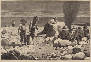 Tengerparti vázlatok – Kagylósütés alkotó: William H. Redding after Winslow Homer