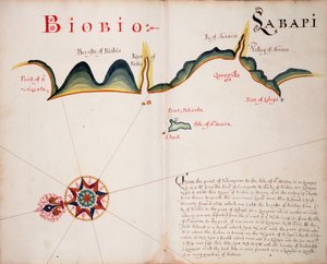 Biobio [és] Labapi alkotó: William Hack