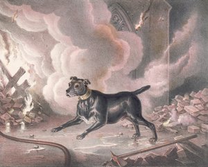 A londoni tűzoltó kutyája alkotó: William Heath