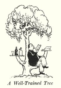 Egy jól képzett fa (litho) alkotó: William Heath Robinson