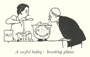 Hasznos hobbi, sima lepényhal (litho) alkotó: William Heath Robinson