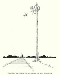 Illusztráció: Railway Ribaldry, W Heath Robinson (litho) alkotó: William Heath Robinson