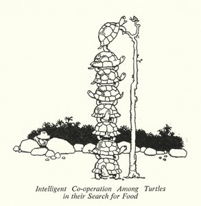 Intelligens együttműködés a teknősök között táplálékkeresésük során (litho) alkotó: William Heath Robinson