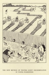 Fiatal rókakutyák szag-diszkriminációjának tesztelésének új módszere alkotó: William Heath Robinson