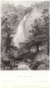 Powerscourt vízesés a Dargle folyón alkotó: William Henry Bartlett
