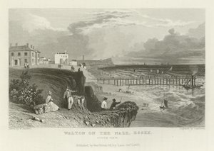 Walton on the Naze, Essex, South View alkotó: William Henry Bartlett