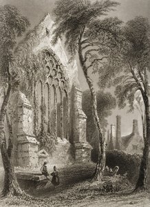 Youghal Abbey, Cork megye, Írország, George Virtue „Scenery and Antiquities of Ireland” című művéből, 1860-as évek alkotó: William Henry Bartlett