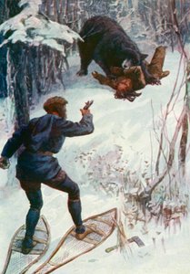 A medve fölötte állt, az egyik karját a szájába fogta. alkotó: William Henry Charles Groome