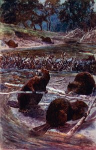 „Gátat építenek a patakon túl” (színes litó) alkotó: William Henry Charles Groome