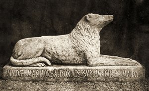 Maida szobra, a jelentések szerint Sir Walter Scott kedvenc kutyája. (szépia fotó) alkotó: William Henry Fox Talbot