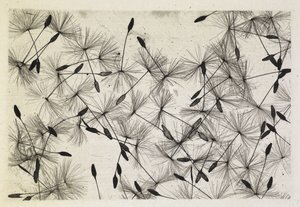 Talbot fotó 24 1730 alkotó: William Henry Fox Talbot