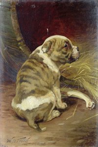 Adj egy kutyának csontot, 1888 (tábla)