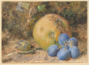 Alma, szőlő és mogyoró egy mohás parton alkotó: William Henry Hunt