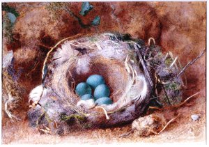 Madárfészek, 1825-1850 körül (akvarell és gouache) alkotó: William Henry Hunt