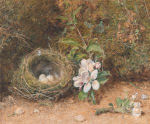 Madárfészek almavirággal alkotó: William Henry Hunt