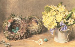 Tavaszi virágok és madárfészkek, 1830 körül (akvarell és testfesték papíron) alkotó: William Henry Hunt