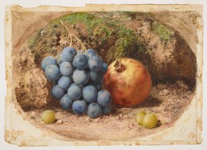 Csendélet szőlővel és gránátalmával alkotó: William Henry Hunt