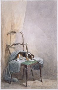 Kutya tanulmányozása egy széken (akvarell papíron) alkotó: William Henry Hunt