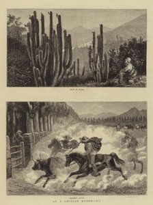 Egy chilei Rodeón a III