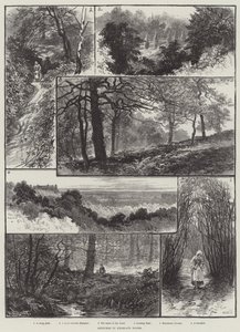 Vázlatok Highgate Woodsban alkotó: William Henry James Boot
