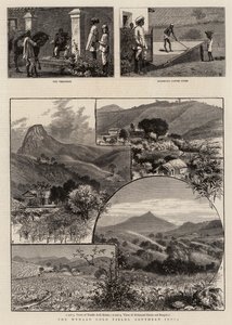 A Wynaad aranylelőhelyek, Dél-India alkotó: William Henry James Boot