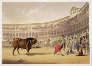 A Matador, 1865