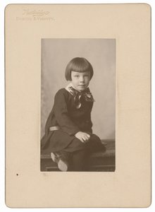 Natt Noyes Dodge, 1904 körül (fotó) alkotó: William Henry Partridge