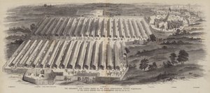 Az Angliai Királyi Mezőgazdasági Társaság eszköz- és szarvasmarha-bemutatói a Northamptonban, 1847. július 20-án, 21-én és 22-én tartott éves találkozón