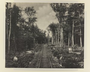 Ganoga Lake Branch, L.V.R.R., 1899 körül (platina nyomat)